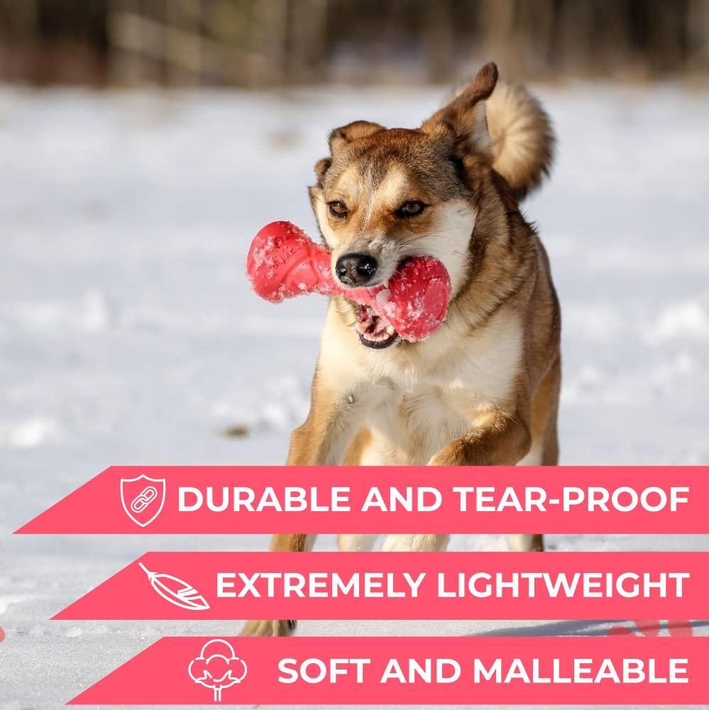 Dumbbell Dog Fetch Toy Outdoor Barbell Dog Toy for Small Medium and