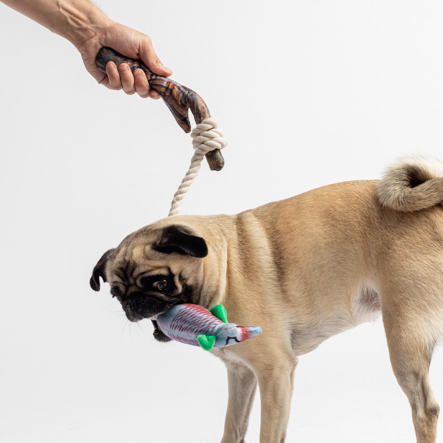 🎣 Durable Fish & Mason Jar Dog Toys – 2 Pack for Aggressive Chewers 🐶
