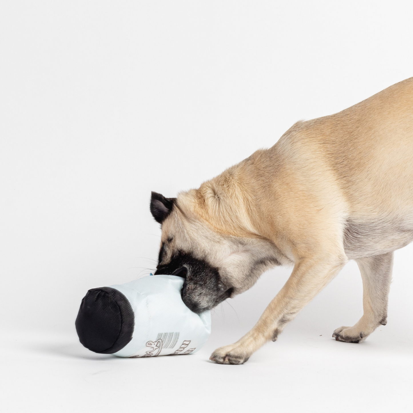 🎣 Durable Fish & Mason Jar Dog Toys – 2 Pack for Aggressive Chewers 🐶